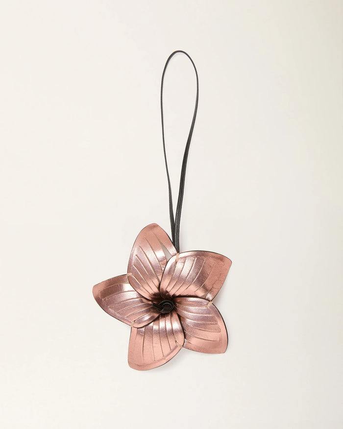 gid://shopify/ProductImage/77435095646551