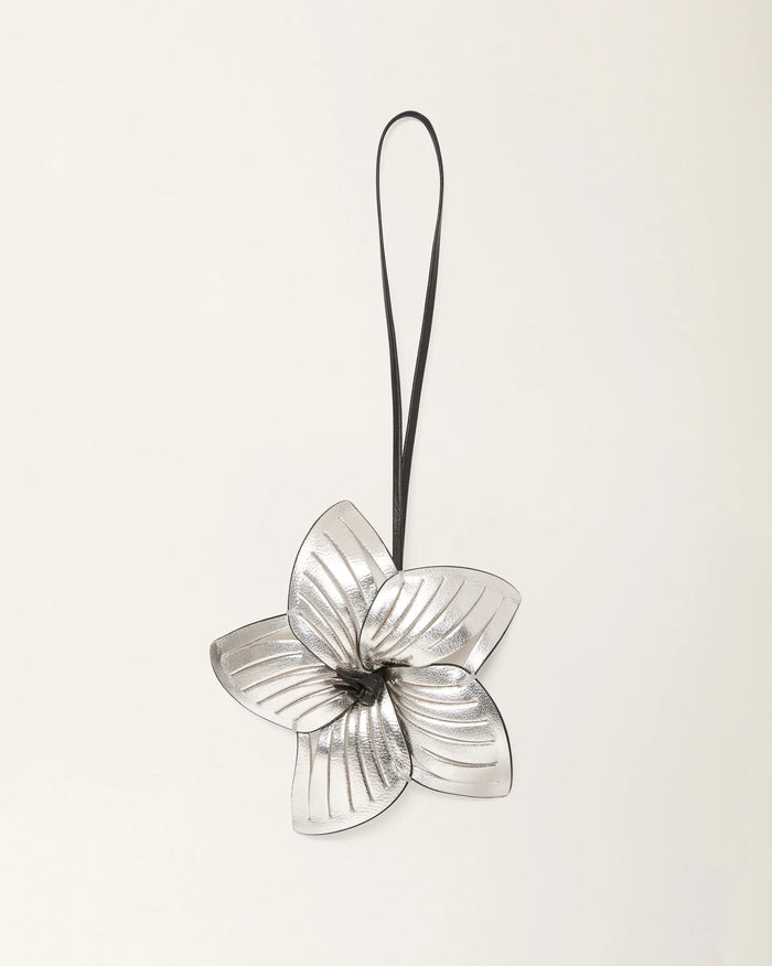 gid://shopify/ProductImage/77435095712087