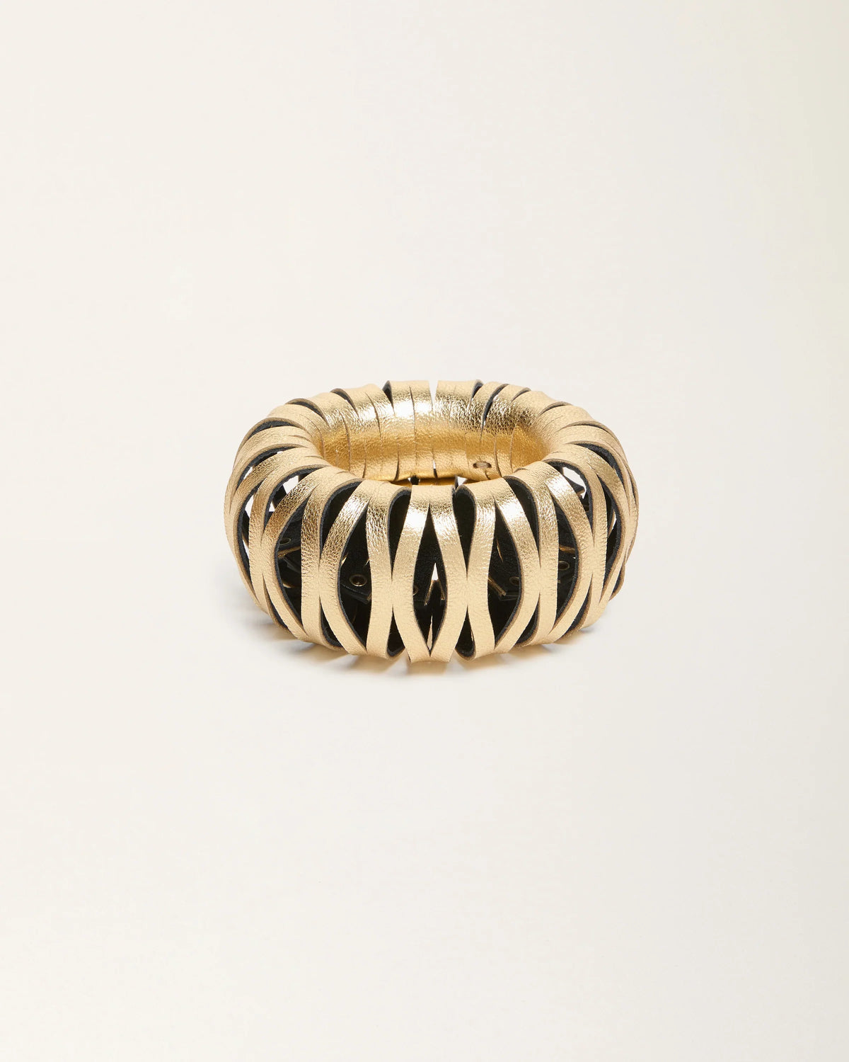 gid://shopify/ProductImage/77302599319895