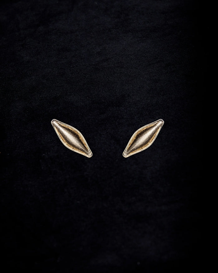 gid://shopify/ProductImage/77362154504535