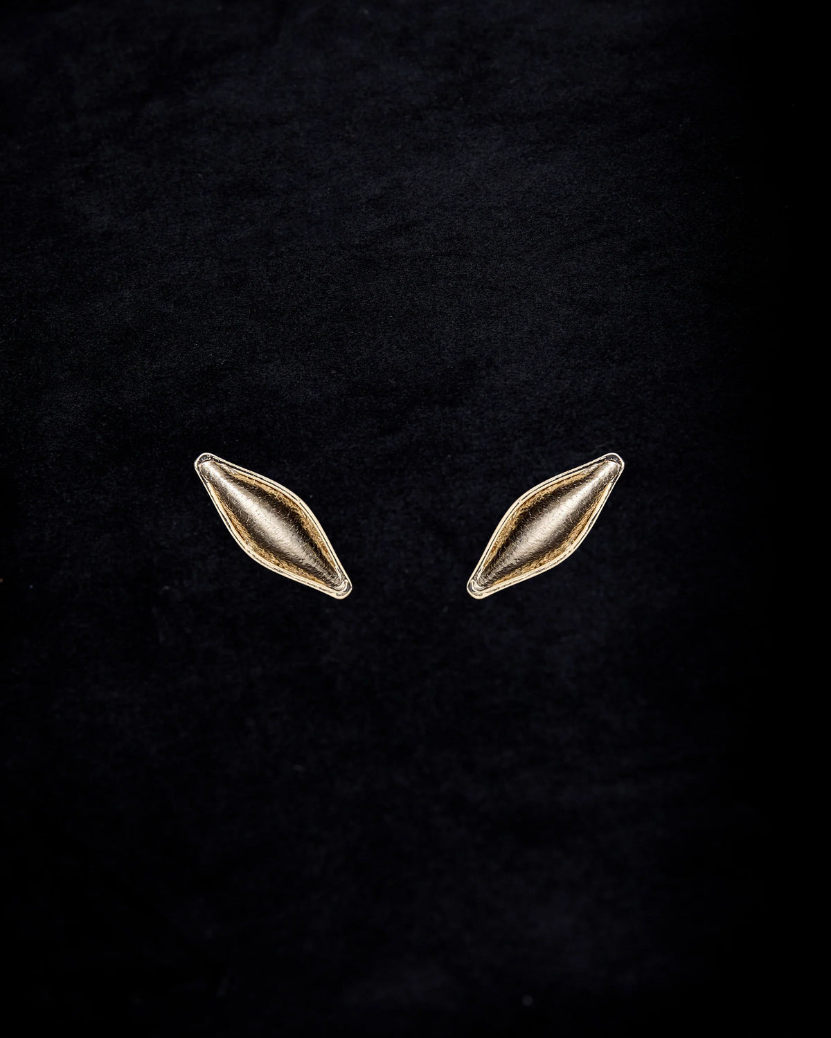 gid://shopify/ProductImage/77362154504535