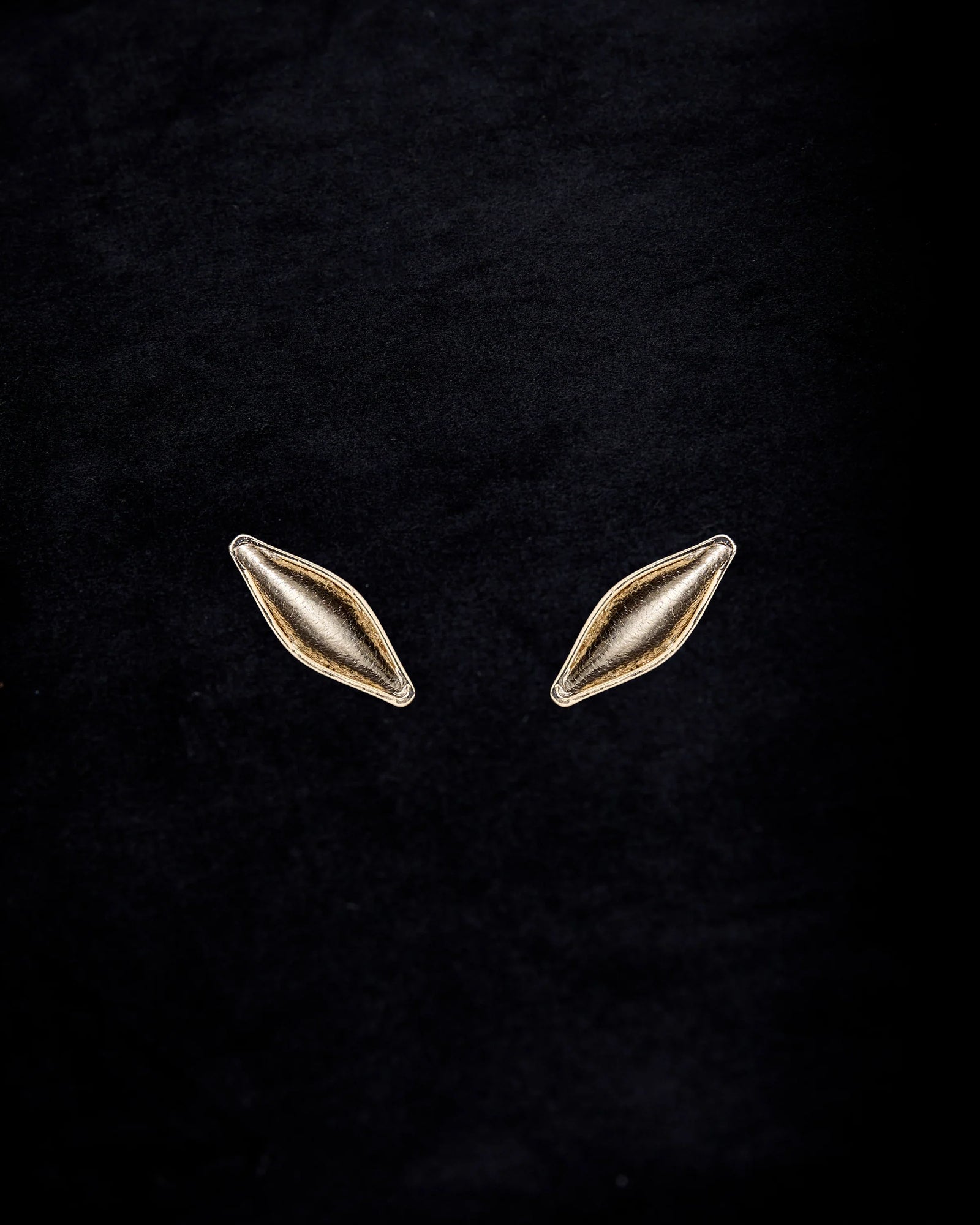 gid://shopify/ProductImage/77362154504535