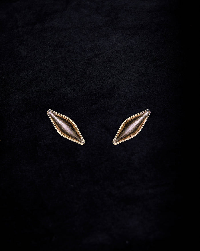 gid://shopify/ProductImage/79024900735319