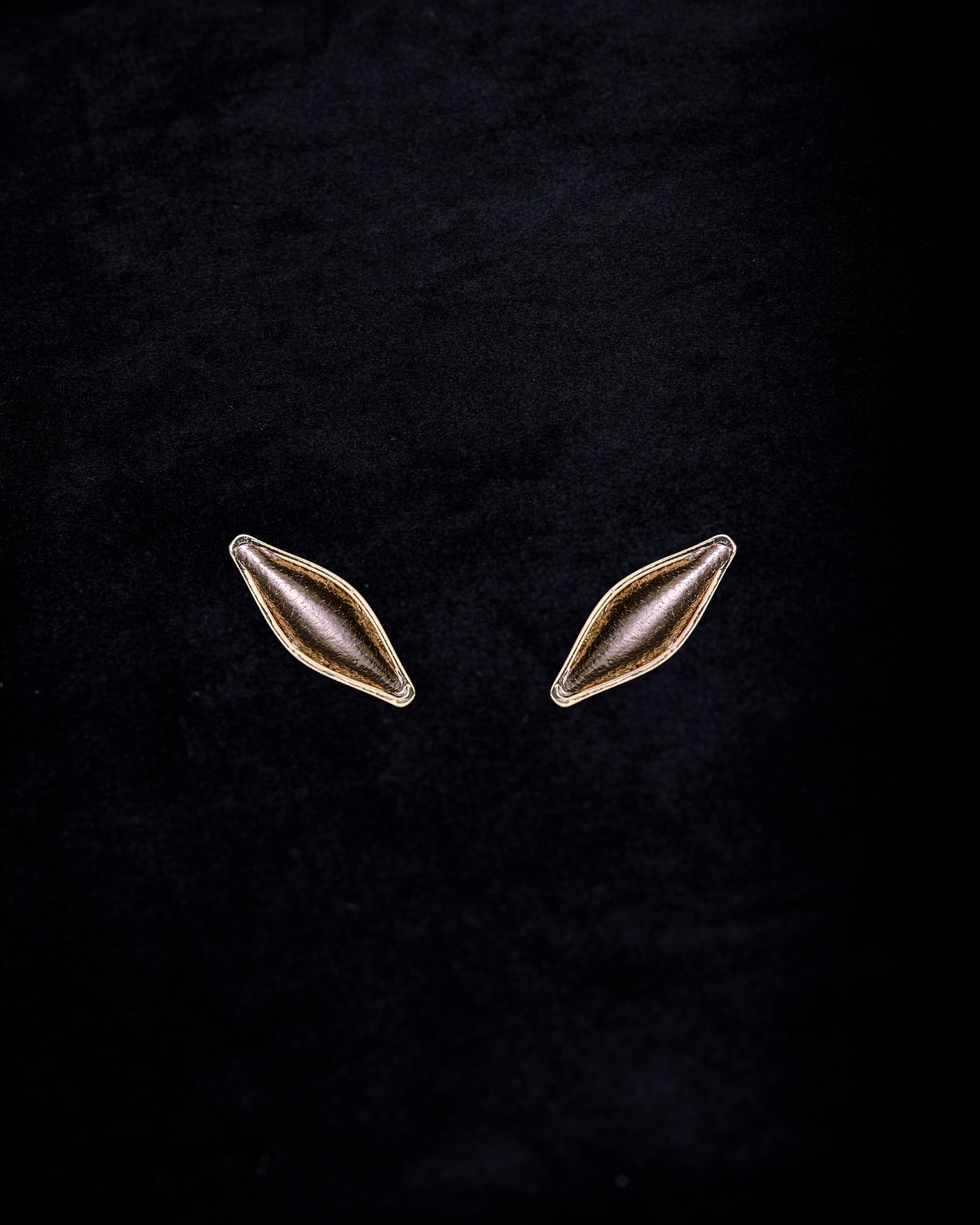 gid://shopify/ProductImage/79024900735319