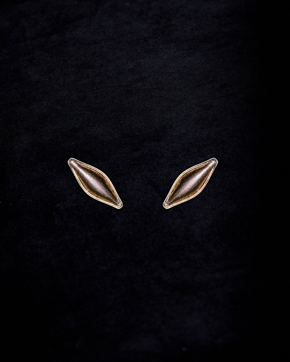 gid://shopify/ProductImage/79024900735319